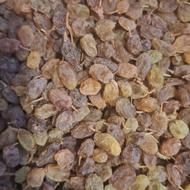 کشمش علا تاکستان