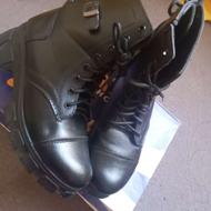 پوتین در حد نو