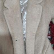 پالتو کاملا سالم