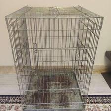 قفس طوطی کاسکو و آرایی بزرگ