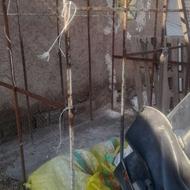 قفس انواع پرندا درجه یک