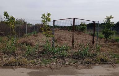 فروش زمین کشاورزی 570 متر در دینه سررکن کلا