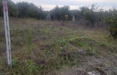 زمین مسکونی سارو