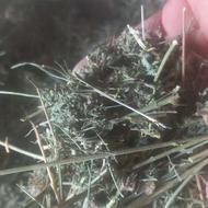 فروش یونجه انباری