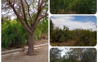 3800 متر همراه 9 ساعت آب و سند شش دنگ