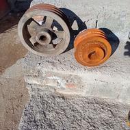 فولی برگ زن چغندر