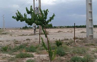 باغچه فنس کشی شده دونبش