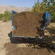 کود حیوانی خشک برای کشاوزان