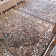 3 تخته فرش 700 شانه اصل ضمانتی و یک کناره 1×3