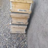 کندو زنبور عسل