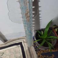 پوزه اره ماهی