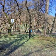 فروش یک باب مغازه نانوایی