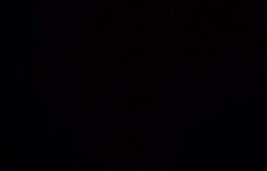 خواهان مغازه