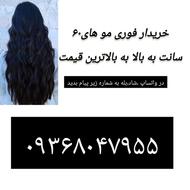 خریدار مو های شما با بالاترین قیمت