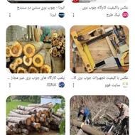 بریدن وخریدار چوب های باغی