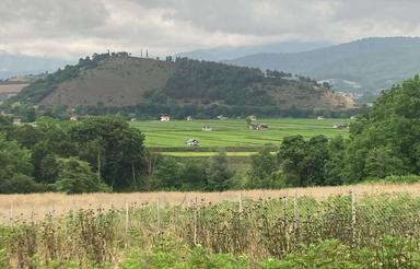 2000متر زمین کشاورزی در دودانگه