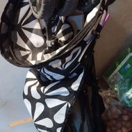 کالسکه دلیجان