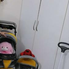 کالسکه.کریر.روروئک مارک دلیجان