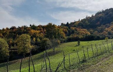 400متر زمین باغی مسکونی ویو 360 جنگلی