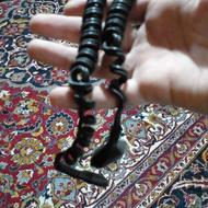 سیم ریش تراش فیلیپس