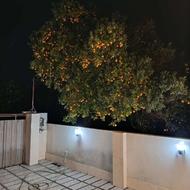 فروش ویلا 230 متر در شیردارکلا