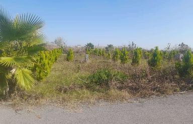 فروش زمین مسکونی 120 متر در انج پل