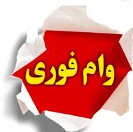 وام فوری آنی 40 میلیون تا 700 بدون نیاز به بانک