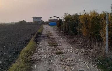 زمین باغی 306 متر