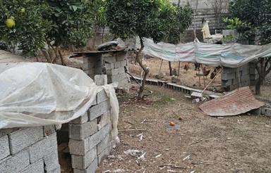 زمین باغ پرتقاله