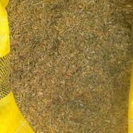 کاه عدس درجه یک