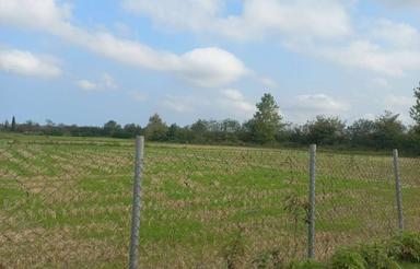 زمین کشاورزی ب متراژ 24000متر