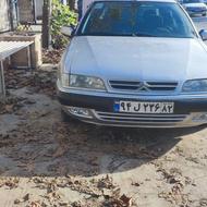 زانتیا بی رنگ84