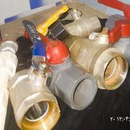 انواع شیرآت خانگی ،باغی