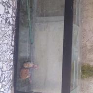 آکواریوم بزرگ