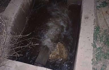 باغچه درشهرک گلدسته منطقه18تهران