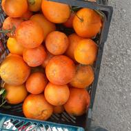 انار ساوه تامسون حراج برای شب یلدا