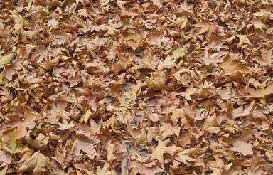 پیشفروش آپارتمان 100 متر در الهیه