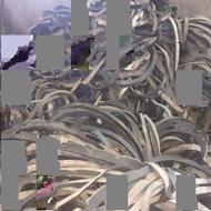 خریداران لاستیک دورغالب قطعه جلوبندی