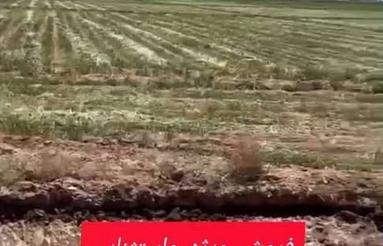 زمین هکتاری در ایوانکی و گرمسار