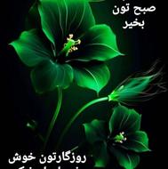 فروش دو فقره فیش عمره