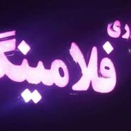 تابلو اکسسوری فلامینگو