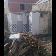 خرید درخت توت و انجیر از بندرترکمن