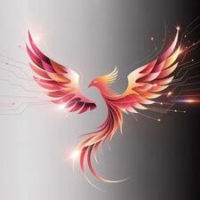 طراح سایت با کدنویسی اختصاصی و وردپرس