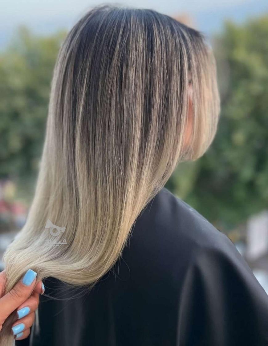 مدل رنگ و لایت