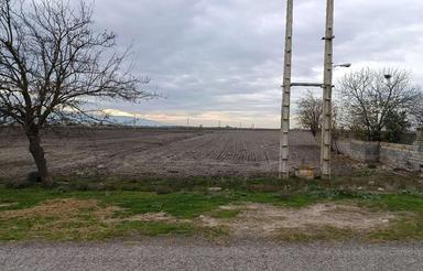 فروش یک قطعه زمین کشاورزی 4200 متر