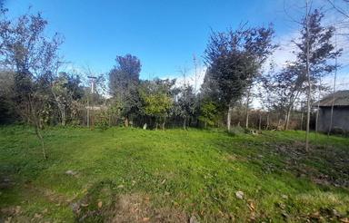 زمین 320 متری مسکونی بافت روستایی