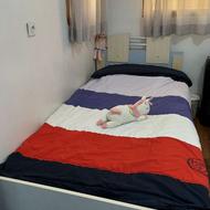 تخت یک نفره با تشک