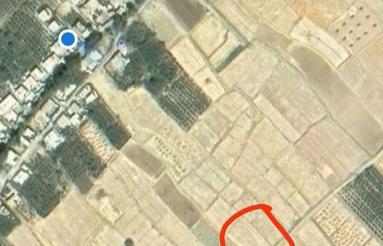 زمین جهت باغ و کشاورزی آماده کاشت و آقال