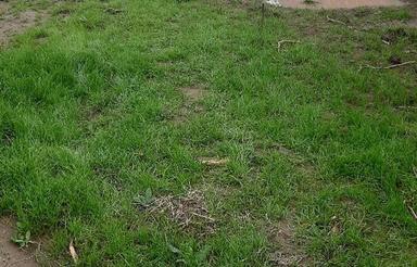 فروش زمین مسکونی 200 متر جاده کیاکلا رمنت