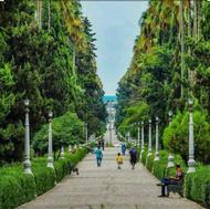 تور گردشگری